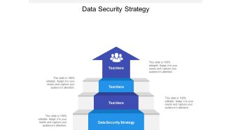 Data Security Strategy Ppt PowerPoint Presentation Portfolio Infographic Template Cpb