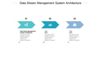 Data Stream Management System Architecture Ppt PowerPoint Presentation Model Design Inspiration Cpb Pdf