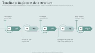 Data Structure IT Timeline To Implement Data Structure Guidelines PDF