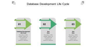 Database Development Life Cycle Ppt PowerPoint Presentation Professional Inspiration Cpb Pdf