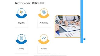 Deal Assessment Audit Process Key Financial Ratios Sample PDF