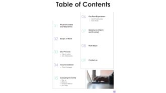 Debt Management Process Proposal Table Of Contents One Pager Sample Example Document