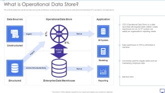 Decision Support System What Is Operational Data Store Ppt Portfolio Example File PDF
