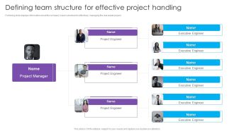 Defining Team Structure For Effective Project Handling Real Estate Project Funding Guidelines PDF