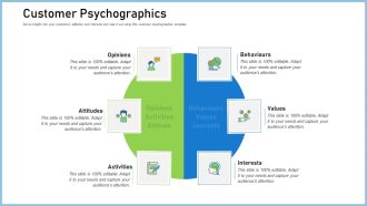 Definitive Guide Creating Content Strategy Customer Psychographics Ppt Summary Model PDF