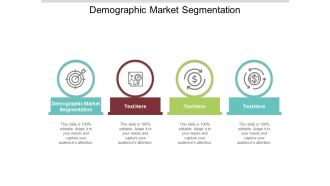 Demographic Market Segmentation Ppt PowerPoint Presentation Portfolio Visual Aids Cpb