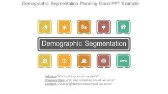 Demographic Segmentation Planning Good Ppt Example