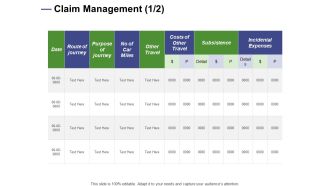 Designing Compensation Systems For Professionals Claim Management Subsistence Portrait PDF