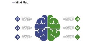 Designing Compensation Systems For Professionals Mind Map Ppt Icon Microsoft PDF