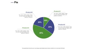 Designing Compensation Systems For Professionals Pie Ppt Summary Microsoft PDF