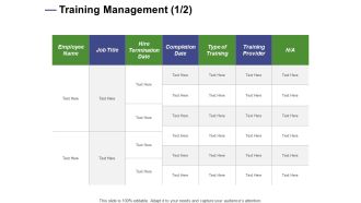 Designing Compensation Systems For Professionals Training Management Termination Themes PDF