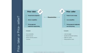 Determine Right Pricing Strategy New Product Price Taker Or Price Setter Sample PDF