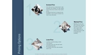 Determine Right Pricing Strategy New Product Pricing Options Ppt Slides Objects PDF