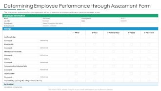 Determining Employee Performance Through Assessment Form Sample PDF