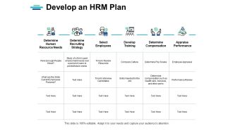 Develop An Hrm Plan Ppt PowerPoint Presentation Summary Graphics Example