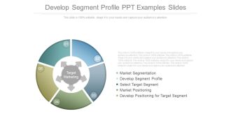 Develop Segment Profile Ppt Examples Slides