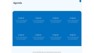 Developing And Implementing Corporate Partner Action Plan Agenda Diagrams PDF