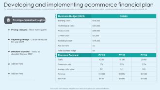 Developing And Implementing Ecommerce Financial Plan Topics PDF