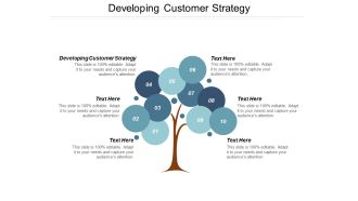 Developing Customer Strategy Ppt PowerPoint Presentation Model Visual Aids