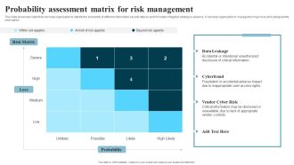 Developing IT Security Strategy Probability Assessment Matrix For Risk Management Formats PDF