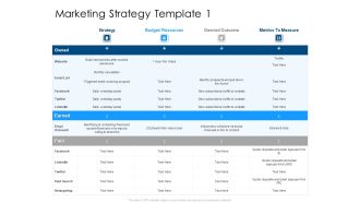 Developing Implementing Organization Marketing Promotional Strategies Marketing Strategy Budget Formats PDF
