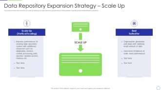 Developing Organization Primary Data Storage Action Plan Data Repository Expansion Strategy Scale Up Clipart PDF