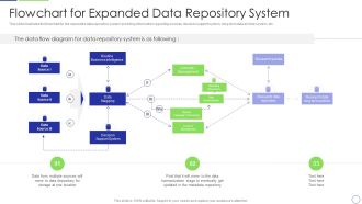 Developing Organization Primary Data Storage Action Plan Flowchart For Expanded Data Repository System Formats PDF