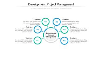 Development Project Management Ppt PowerPoint Presentation Inspiration Styles Cpb