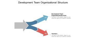 Development Team Organizational Structure Ppt PowerPoint Presentation File Slide Portrait Cpb