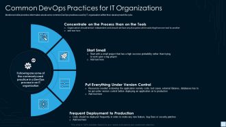 Devops Strategy Development Report IT Common Devops Practices For IT Organizations Professional PDF