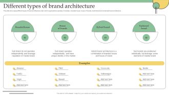 Different Types Of Brand Architecture Ppt PowerPoint Presentation Diagram Graph Charts PDF