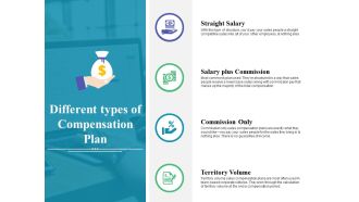 Different Types Of Compensation Plan Ppt PowerPoint Presentation Ideas Example