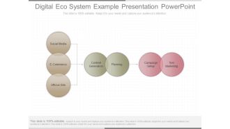 Digital Eco System Example Presentation Powerpoint