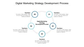 Digital Marketing Strategy Development Process Ppt PowerPoint Presentation Ideas Vector Cpb