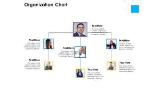 Digital Transformation Strategy Roadmap Organization Chart Ppt PowerPoint Presentation Model Icons PDF
