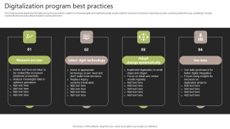 Digitalization Program Best Practices Formats PDF
