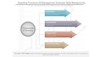 Directing Functions Of Management Example Slide Backgrounds