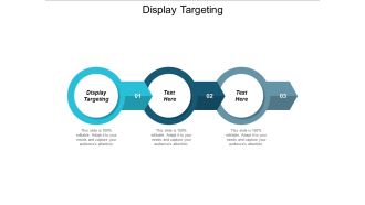 Display Targeting Ppt PowerPoint Presentation Gallery Layout Cpb