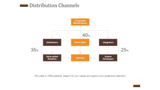 Distribution Channels Ppt PowerPoint Presentation Infographics