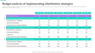 Distribution Strategies For Increasing Budget Analysis Of Implementing Distribution Strategies Microsoft PDF