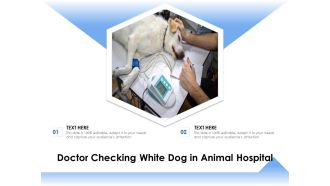 Doctor Checking White Dog In Animal Hospital Ppt PowerPoint Presentation Model Templates PDF