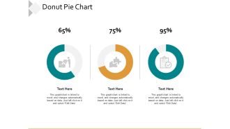 Donut Pie Chart Ppt PowerPoint Presentation Infographics Examples