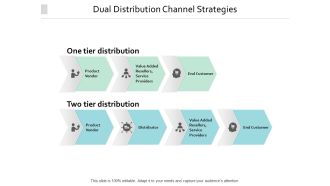 Dual Distribution Channel Strategies Ppt PowerPoint Presentation Portfolio Infographic Template
