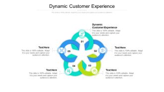Dynamic Customer Experience Ppt PowerPoint Presentation Icon Demonstration Cpb