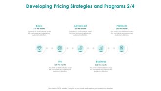 EMM Solution Developing Pricing Strategies And Programs Basic Diagrams PDF
