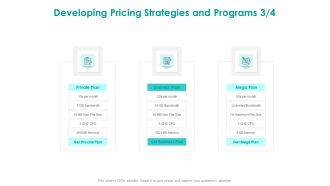 EMM Solution Developing Pricing Strategies And Programs Private Ppt Infographics Example PDF