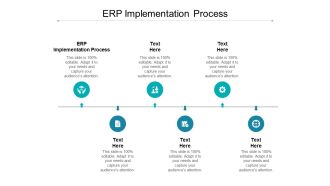 ERP Implementation Process Ppt PowerPoint Presentation File Example Cpb