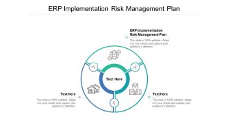 ERP Implementation Risk Management Plan Ppt PowerPoint Presentation Show Structure Cpb