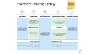 Ecommerce Marketing Strategy Revenue Streams Ppt PowerPoint Presentation Model Portrait