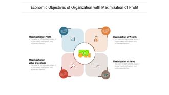 Economic Objectives Of Organization With Maximization Of Profit Ppt PowerPoint Presentation File Visual Aids PDF
